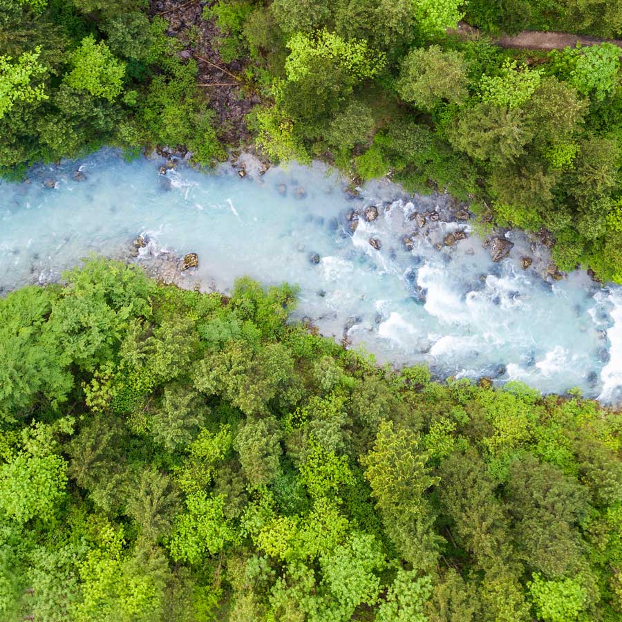 Ein Fluss schlängelt sich durch den Wald
